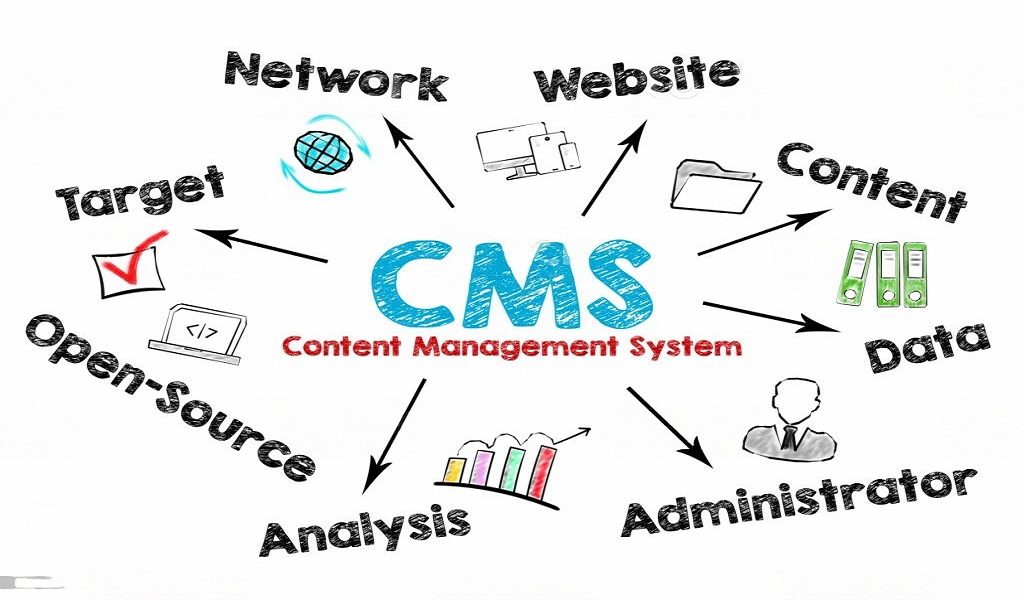 Custom CMS Websites